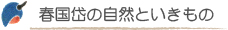 春国岱の自然といきもの