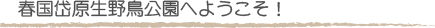 春国岱原生野鳥公園へようこそ！