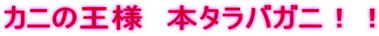 カニの王様 本タラバガニ!!