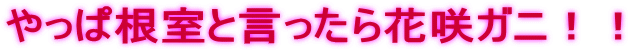 やっぱ根室と言ったら花咲ガニ!!
