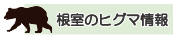 根室のヒグマ情報